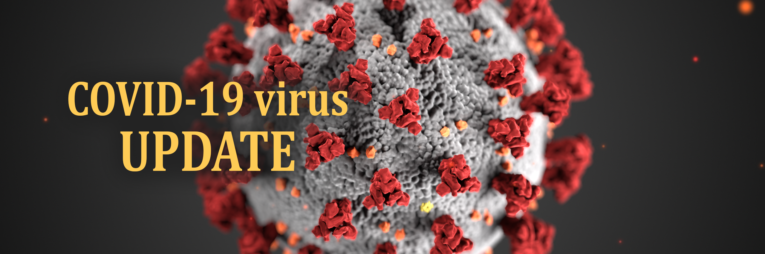 COVID-19 virus update